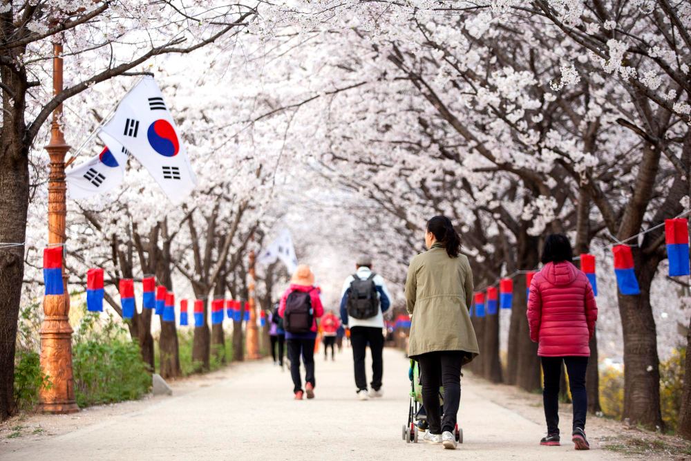 travel south korea